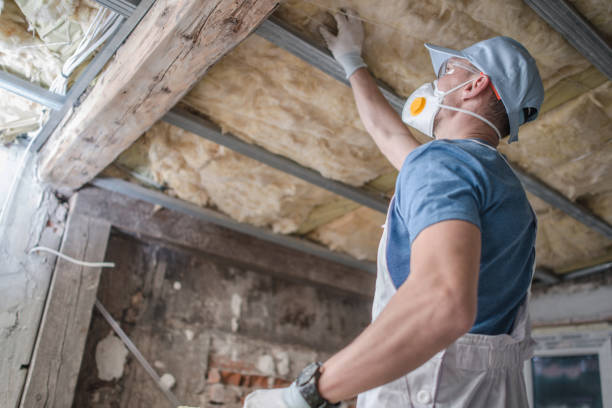 Best Residential Insulation in Kinsley, KS