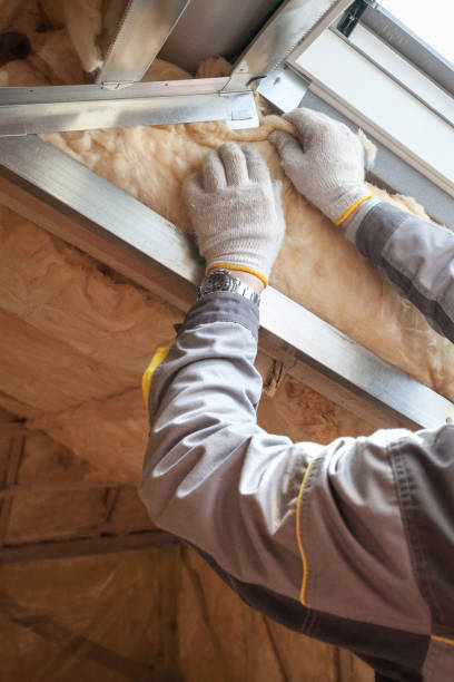 Best Specialized Insulation Services in Kinsley, KS