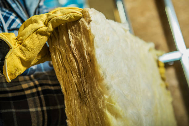 Best Eco-Friendly Insulation in Kinsley, KS