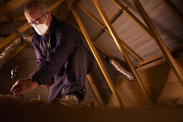 Best Eco-Friendly Insulation in Kinsley, KS
